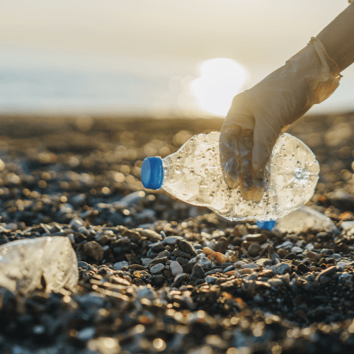Beach Cleaning Community Service