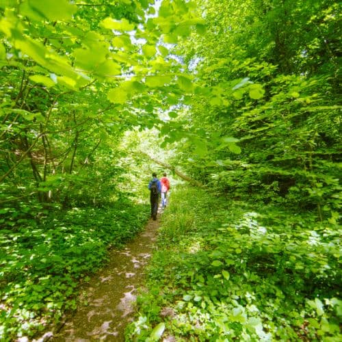 Eco-Adventure-Quest