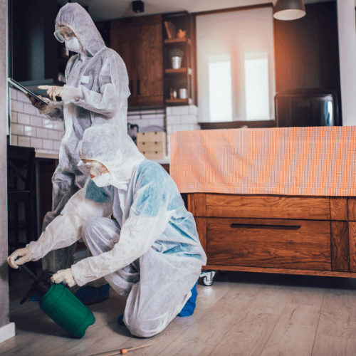 Leisure Area Disinfection_