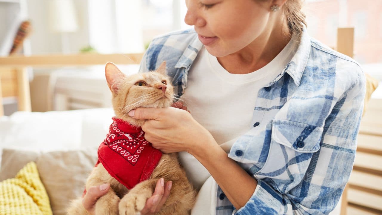 Pet-Event-Organiser-Singapore